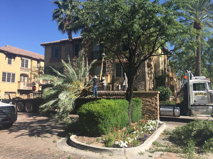 Back to Nature Landcare & Treecare