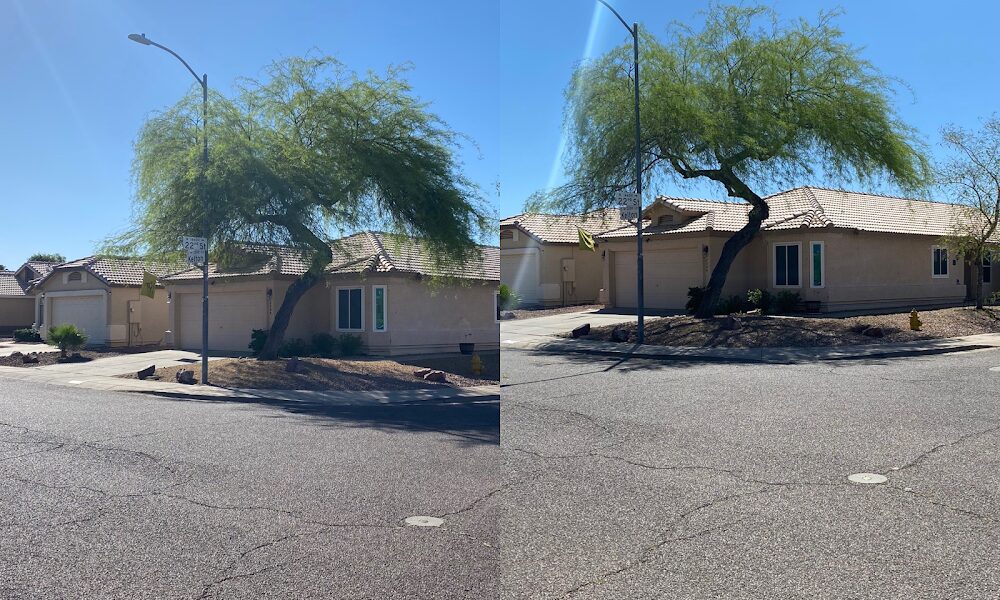 Arizona Tree Care and Services