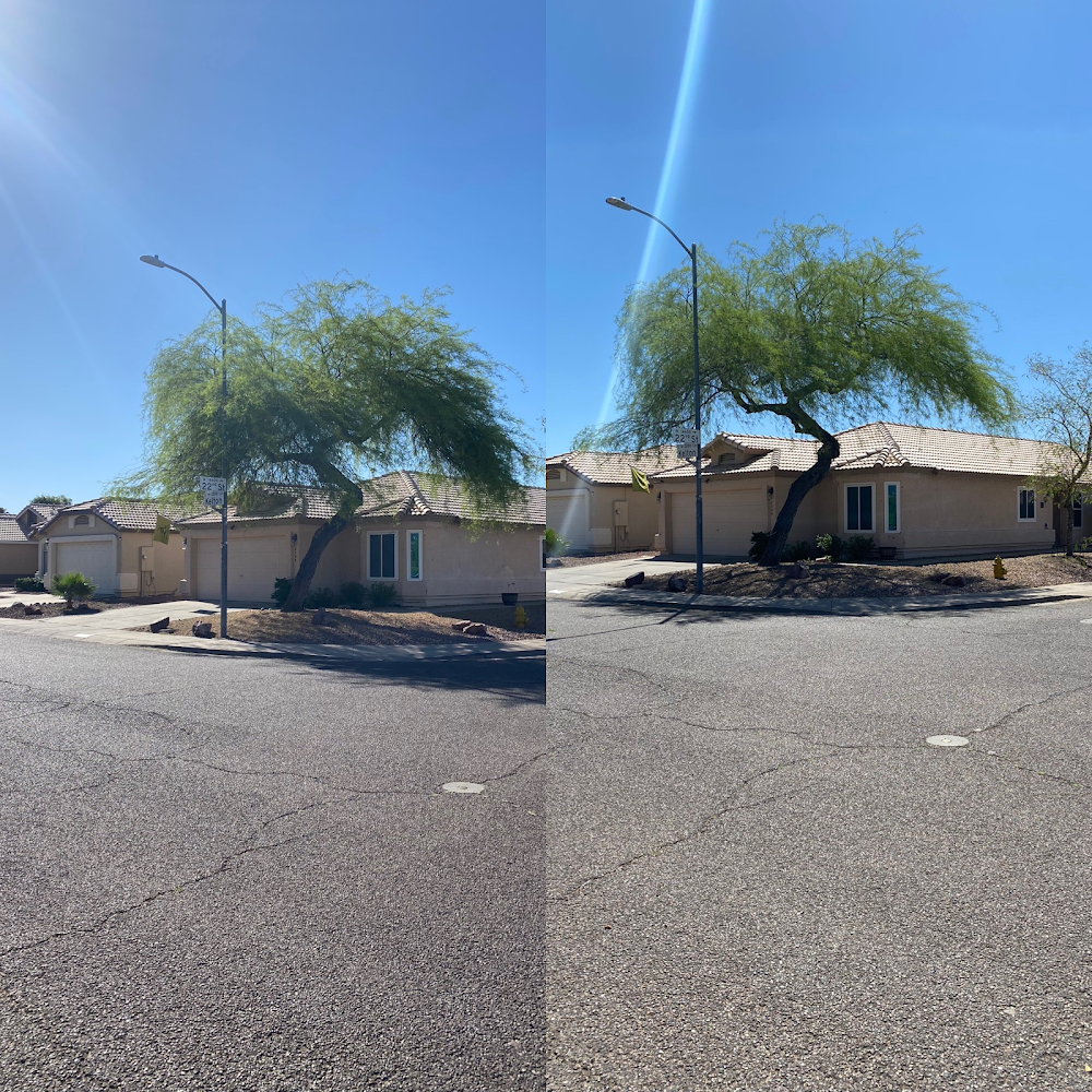 Arizona Tree Care and Services