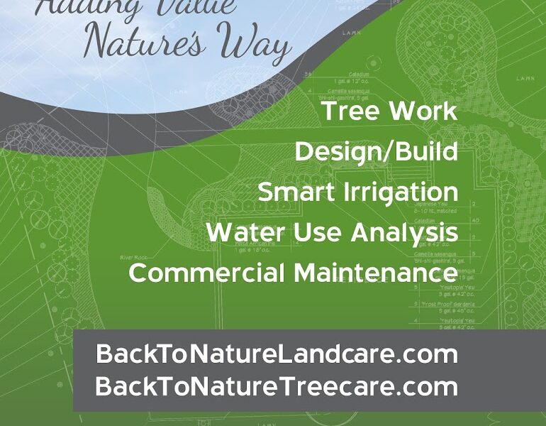 Back to Nature Landcare & Treecare