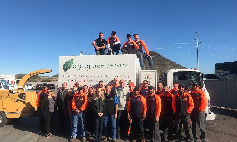 SavATree – Tree Service & Lawn Care