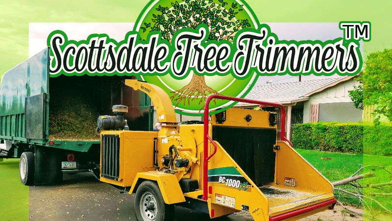 Scottsdale Tree Trimmers