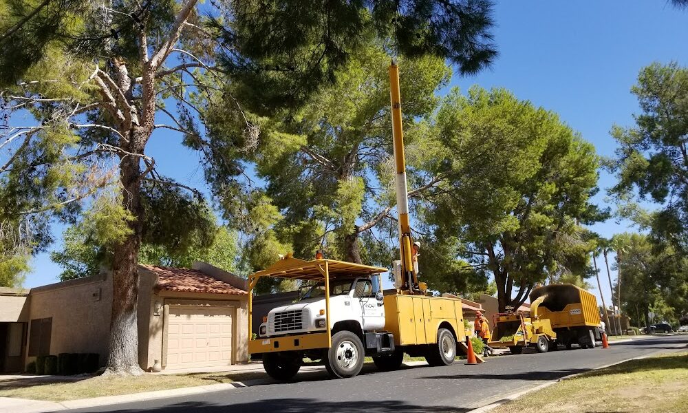 West Coast Arborists, Inc.