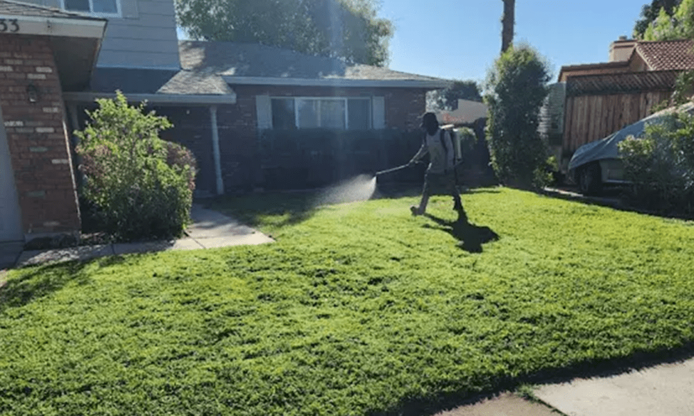 Julio Tree Care & Landscaping