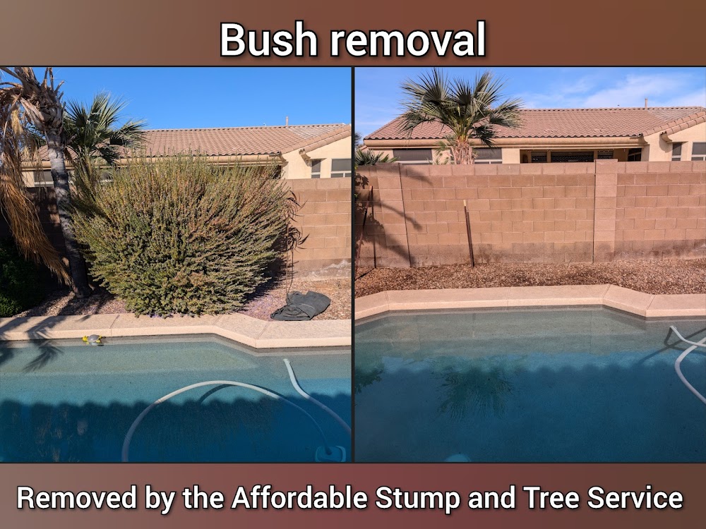 Affordable Stump and Tree Service