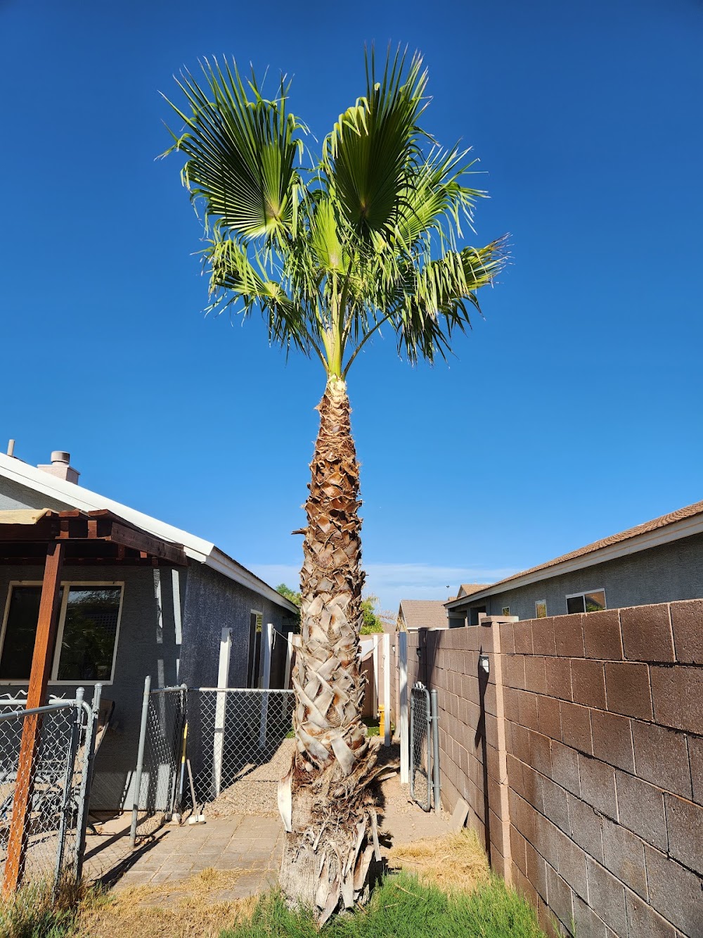 ArborCraft Tree Service