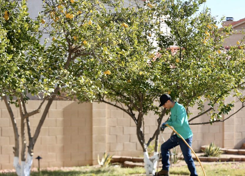 Top Leaf Tree Service
