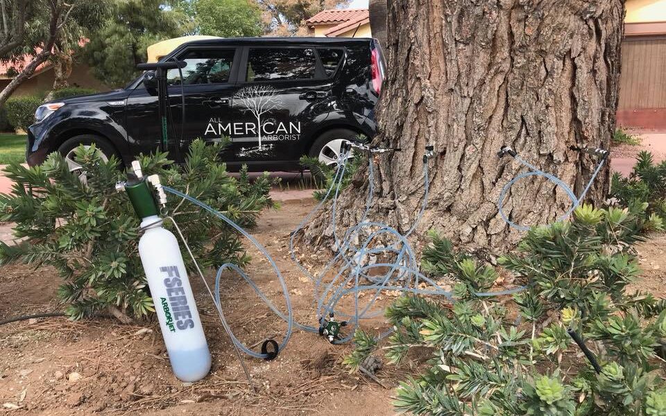 All American Arborist