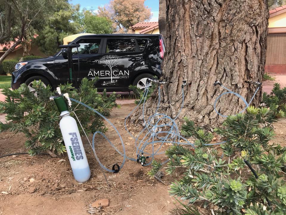 All American Arborist