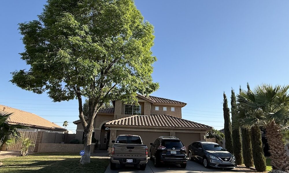 Arbor Barber Tree Service