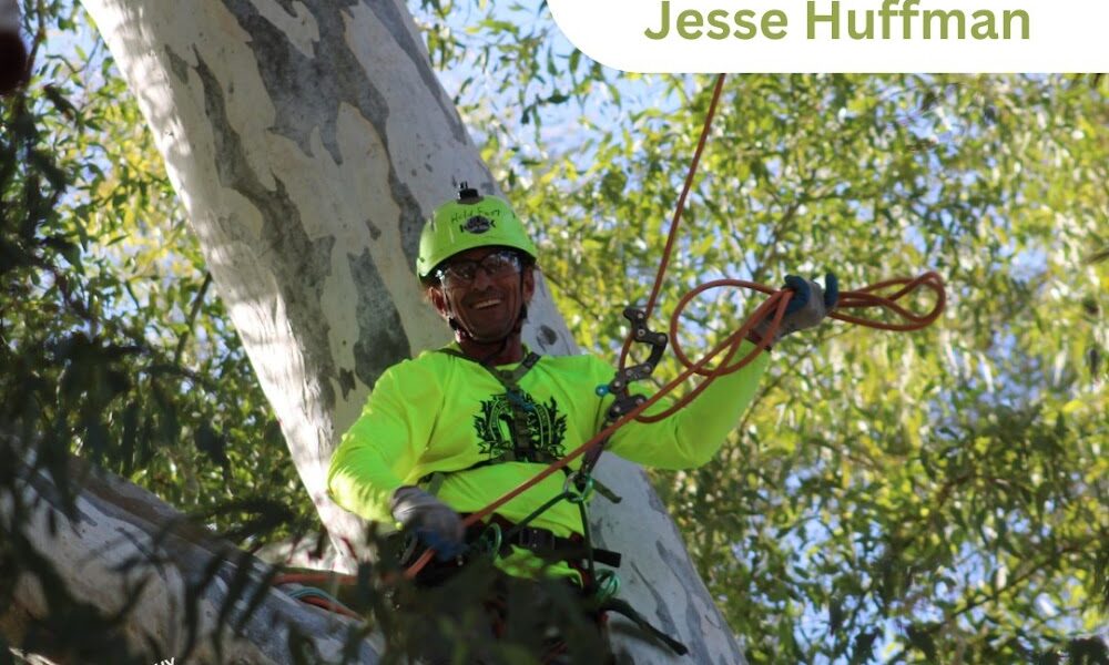 Arborvision Tree Service