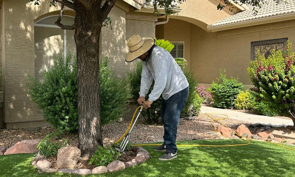 Certified Tree Health Specialist