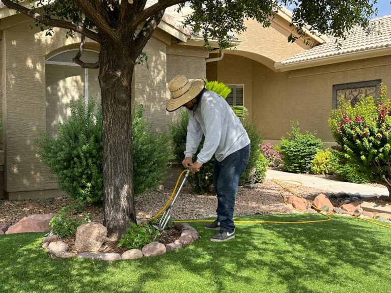 Certified Tree Health Specialist