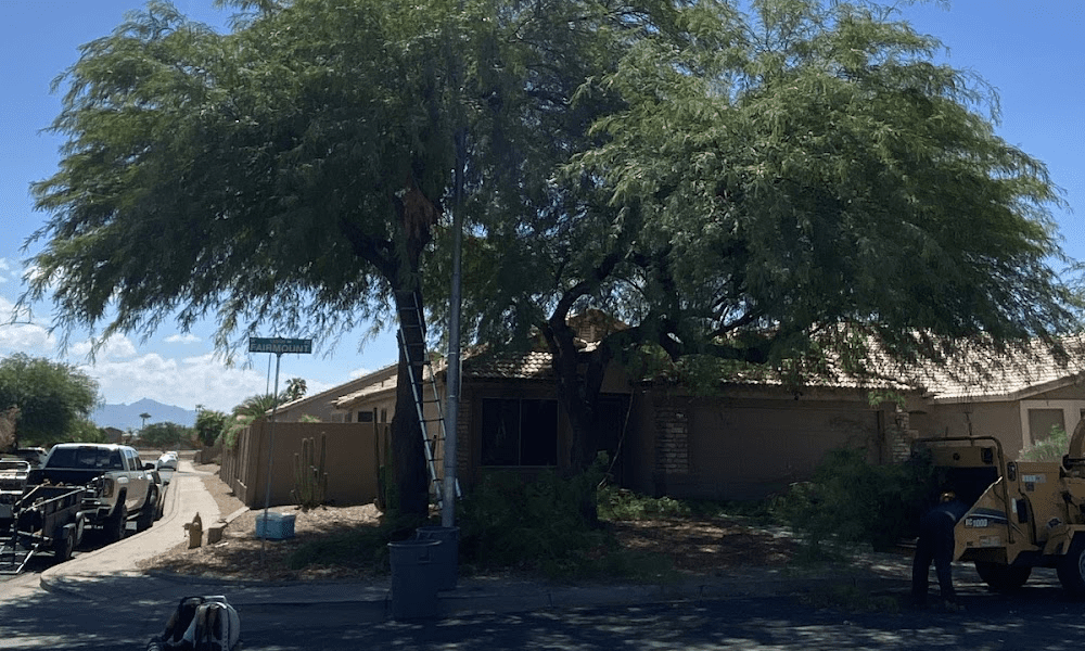 Premium Tree Care LLC