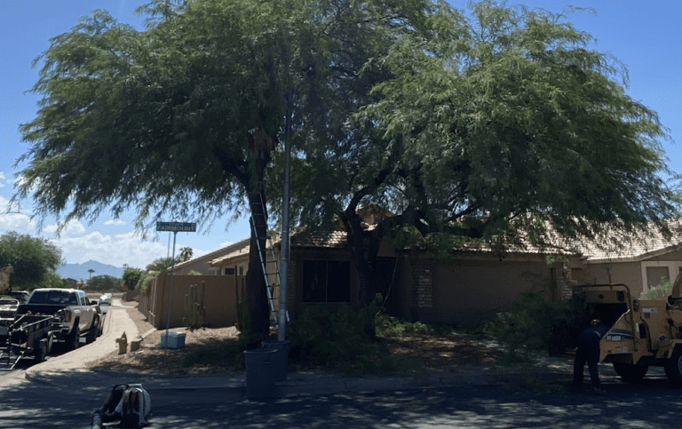 Premium Tree Care LLC