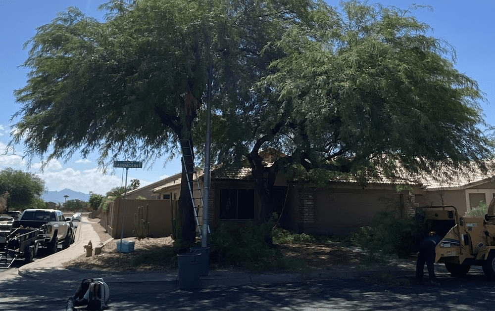 Premium Tree Care LLC