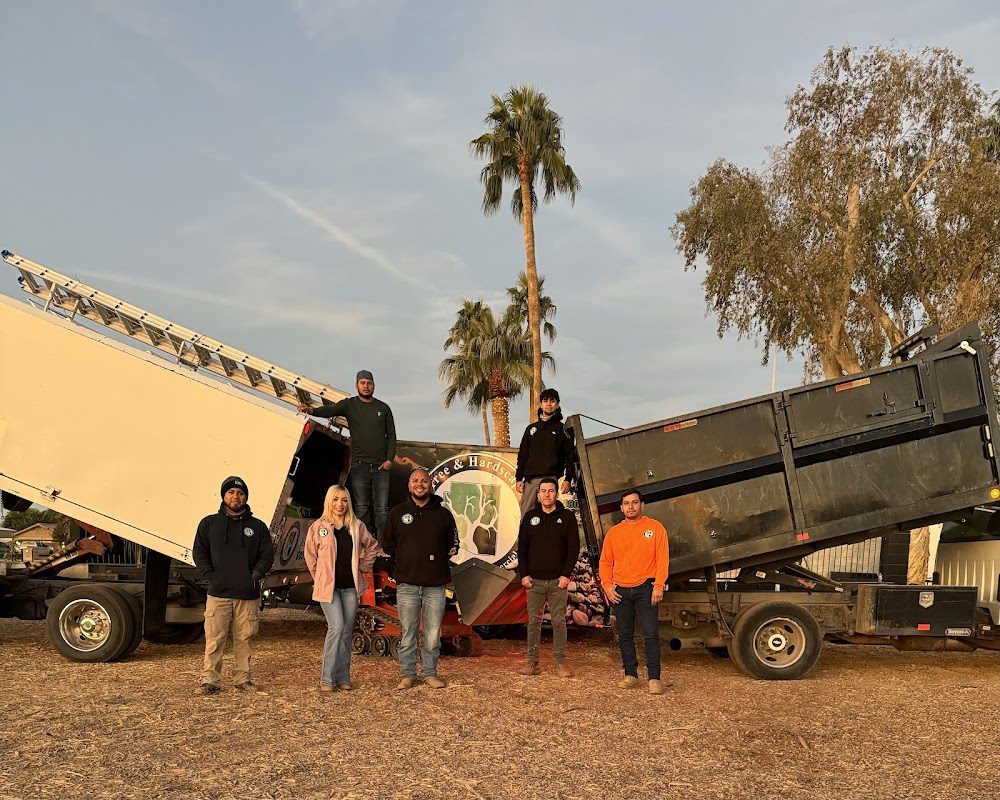 AZ Tree & Hardscape Co